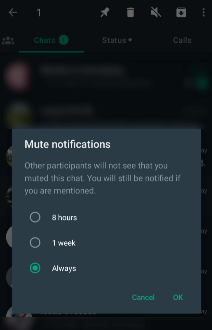 Mute notifications set to always