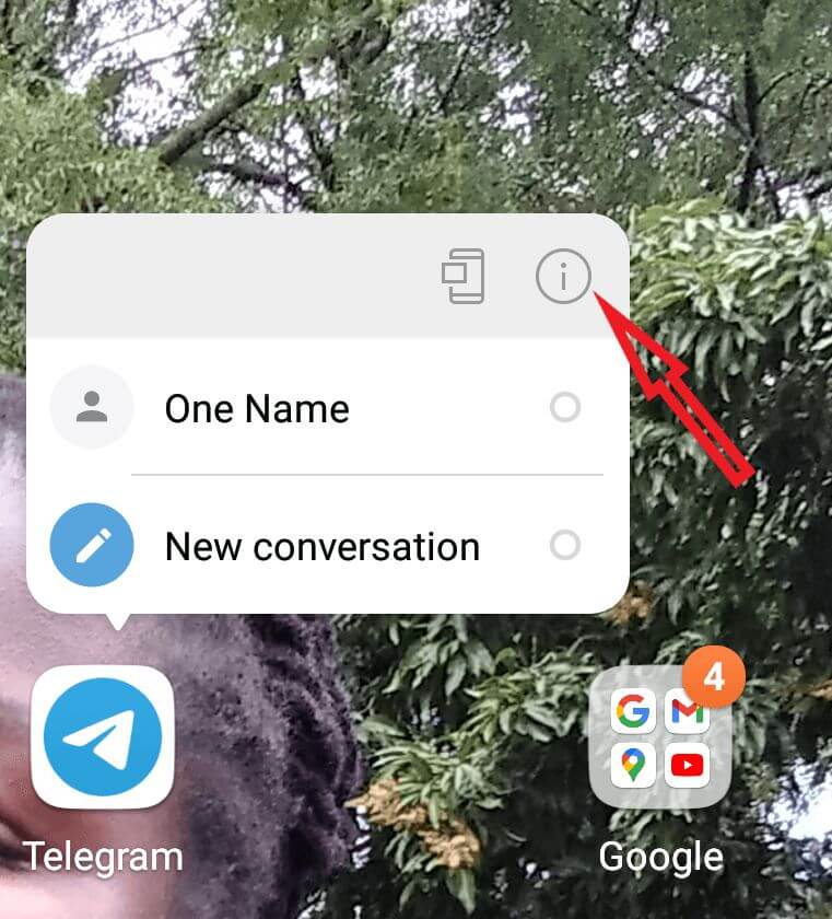 Tap and hold on the telegram app to display a prompt menu