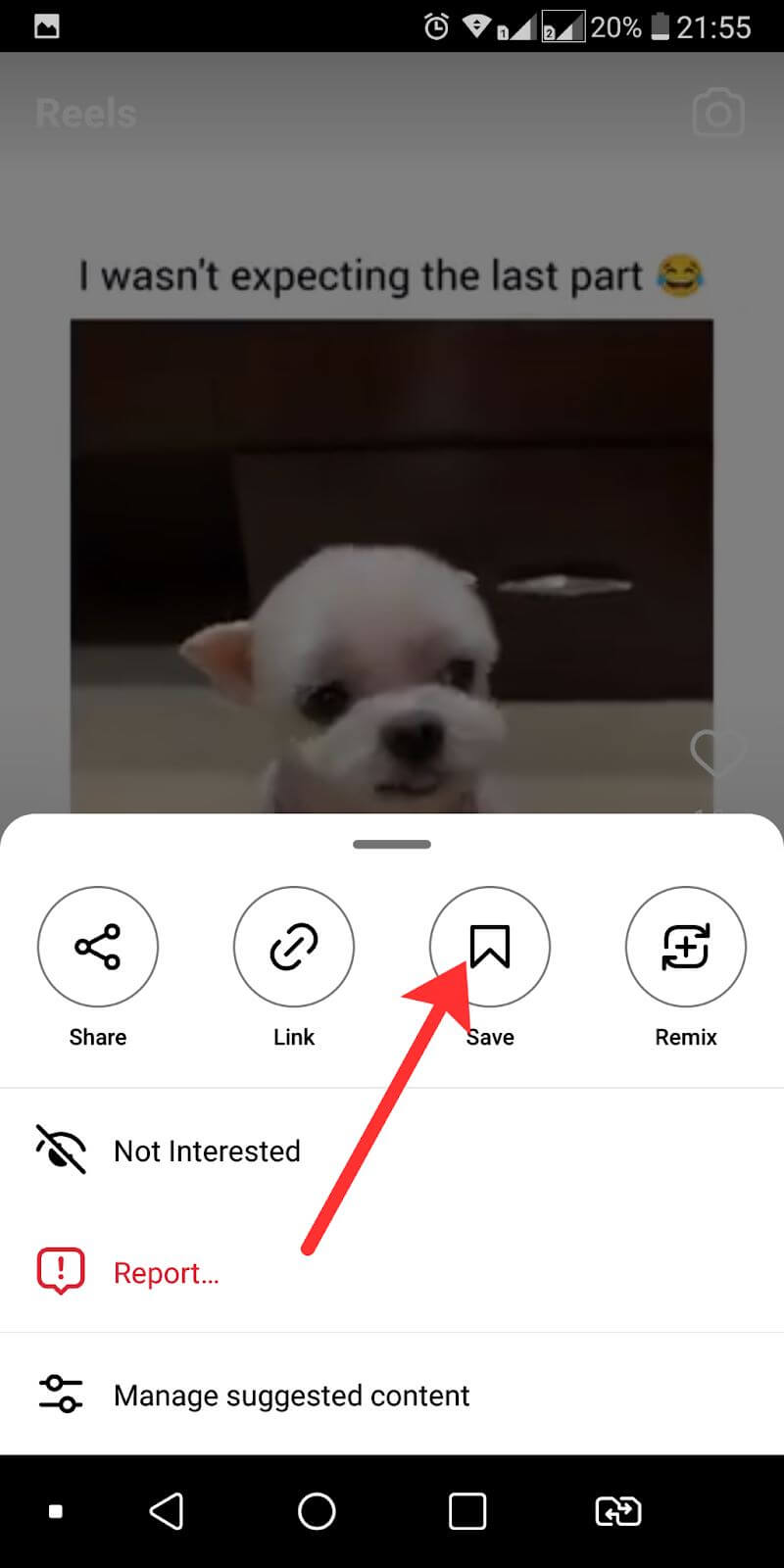 open IG Downloader and paste the link then click the Download button