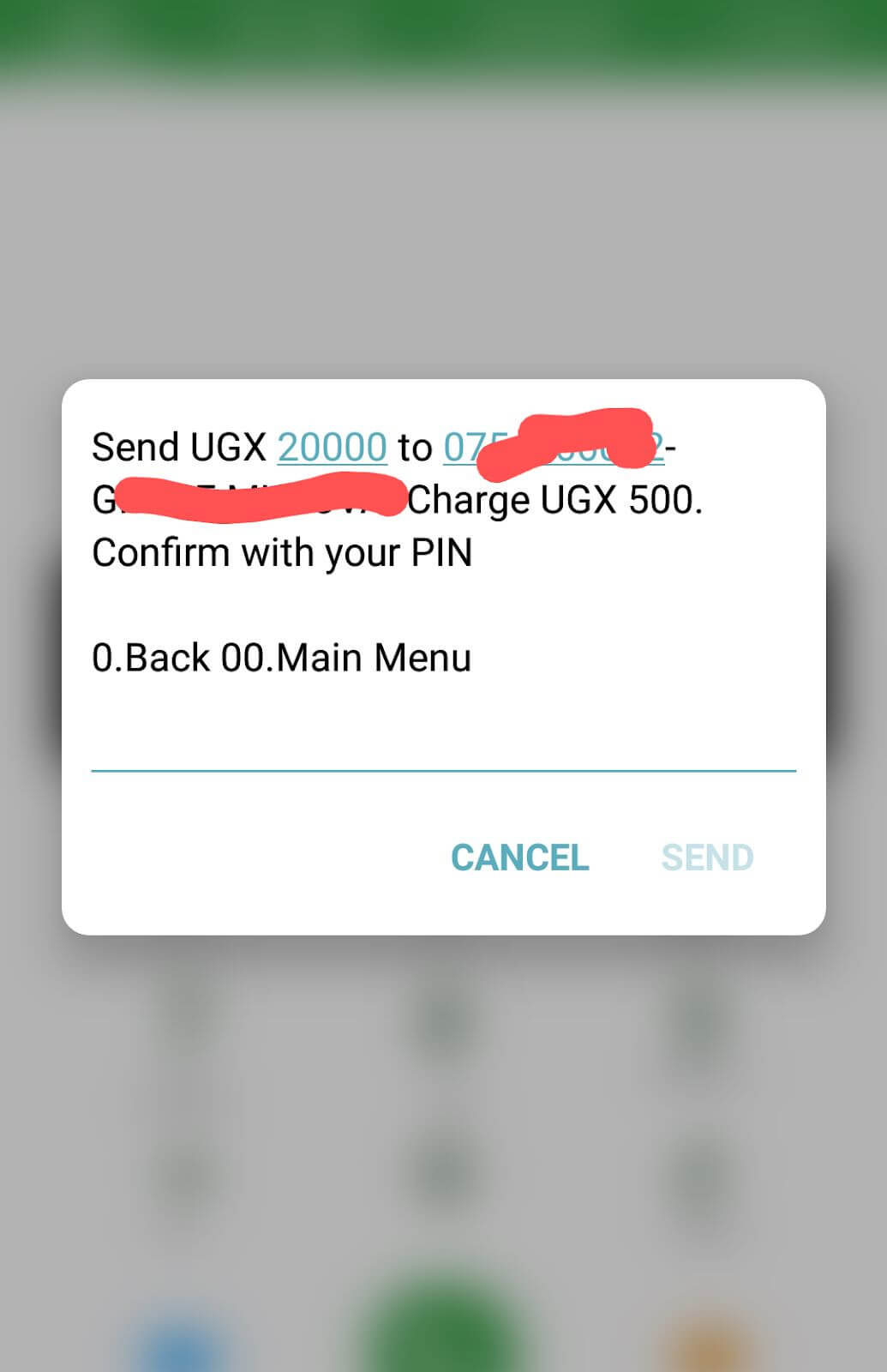the amount of money to send, the number and name are displayed 