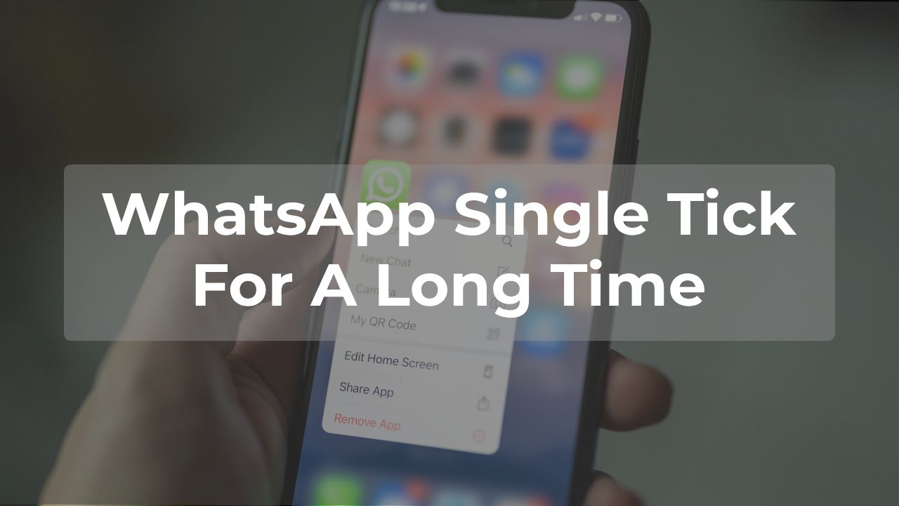 WhatsApp single tick for a long time