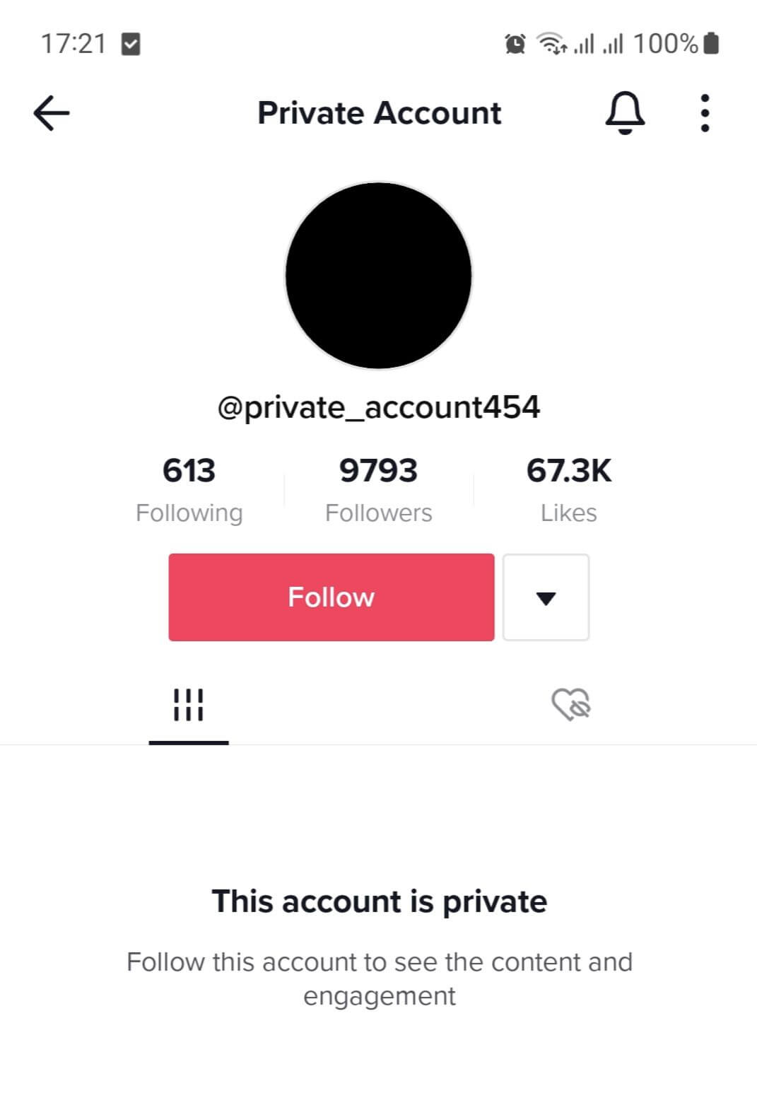 Tiktok Private Account