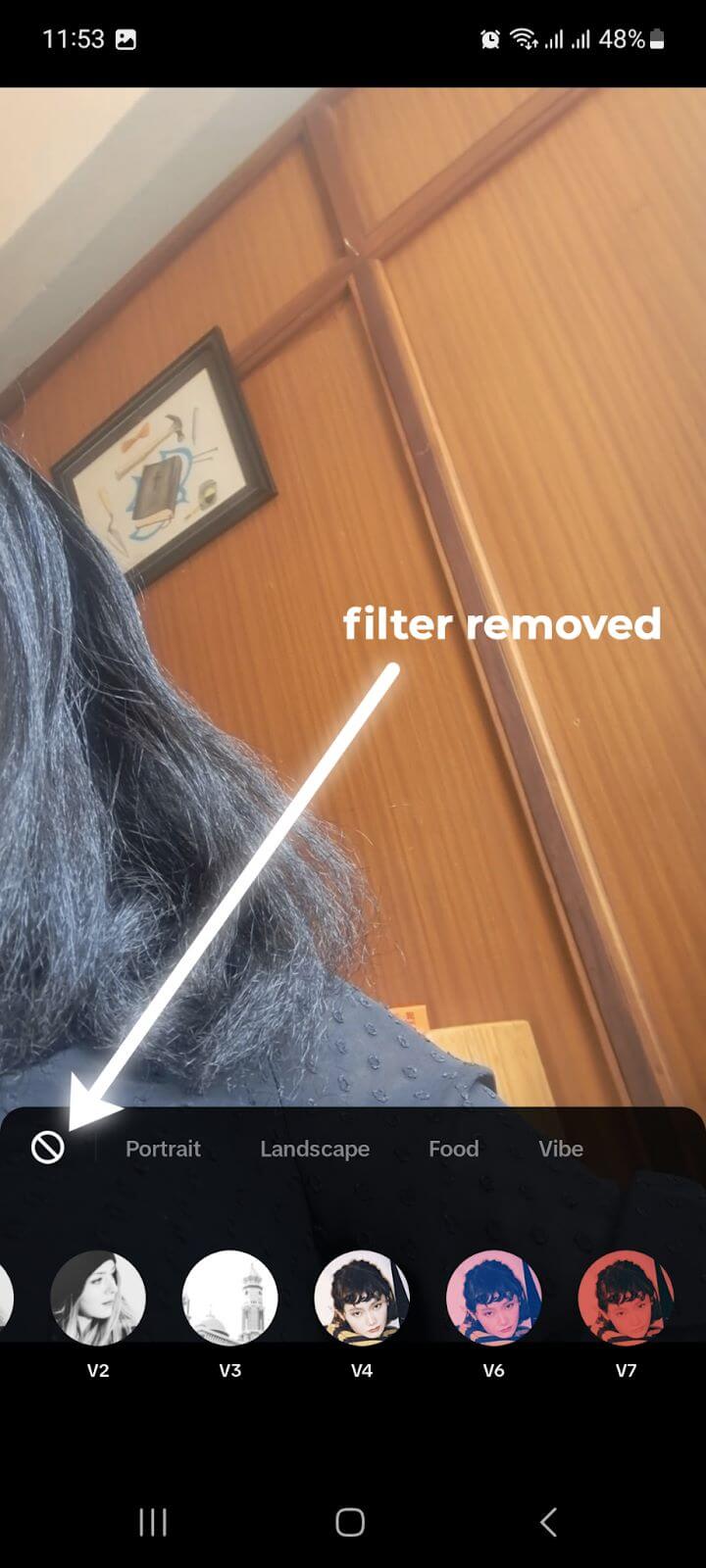 TikTok No Filter Icon