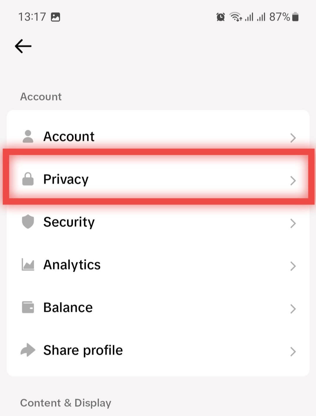 TikTok Privacy Settings