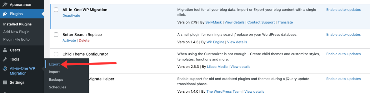 Select Export on All-in-One WP Migration plugin