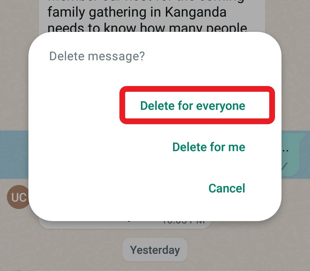 WhatsApp action prompt