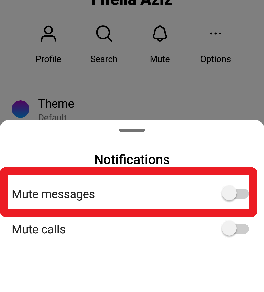 Mute messages