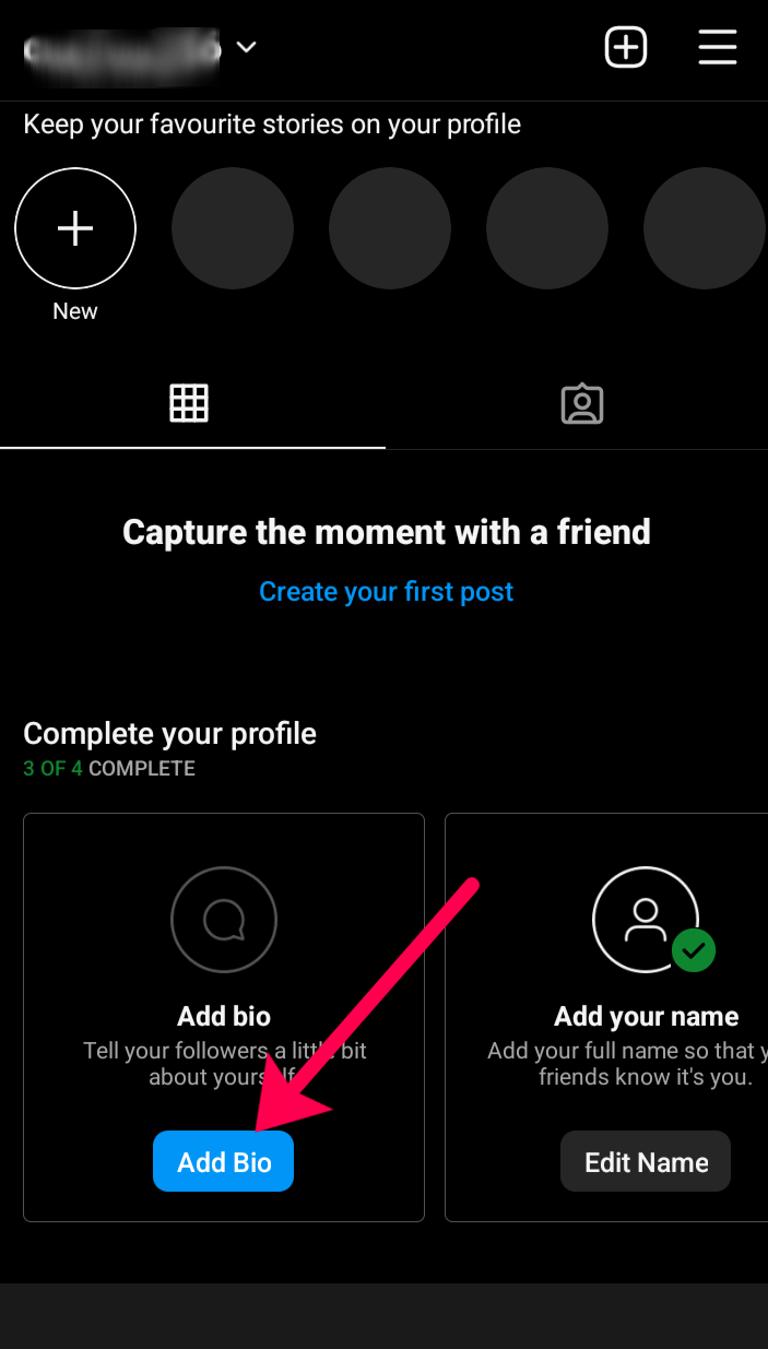 Instagram profile fill out